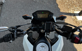 HONDA GROM JC61