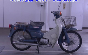 HONDA C50