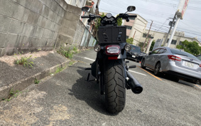HARLEY FXLRS 2025 YWA