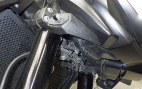 KAWASAKI Z1000 Gen.5 2021 ZXT00W