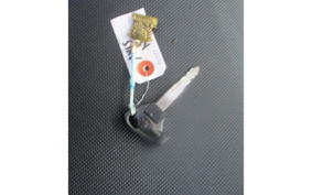 YAMAHA AKUSHI STREET SE53J