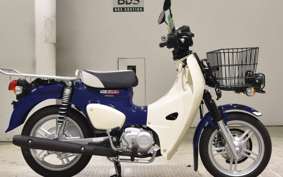 HONDA C110 SUPER CUB 2025 JA61