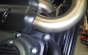TRIUMPH SCRAMBLER 900 2023