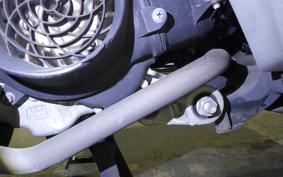 HONDA DIO 110 2023 JF31