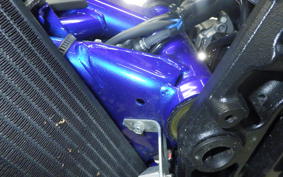 SUZUKI SV650 A 2026 VP55E