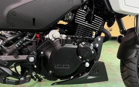 OTHER CFMOTO XO-1 PAPIO
