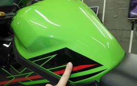 KAWASAKI ZX-4RR 2023 ZX400P