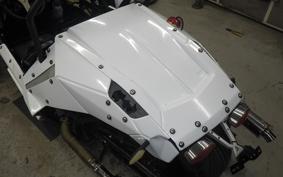 OTHER UNREGISTERED MODEL by BDS TRIKE250