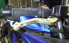 SUZUKI GSX-R125 DL33B