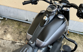 HARLEY FLS 2014 JR5