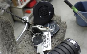HARLEY FXST1750 2024