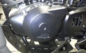 OTHER UNREGISTERED MODEL by BDS250 2019