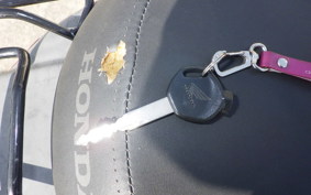 HONDA TACT-4ﾍﾞｰｼｯｸ AF79