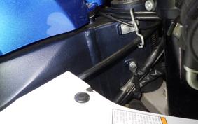 SUZUKI GSX-R1000 2020