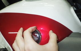 HONDA CB1300SB SUPER BOLDOR 2018 SC54