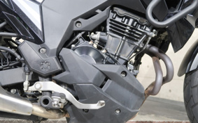KAWASAKI VERSYS-X250ABS TOURER  LE250D