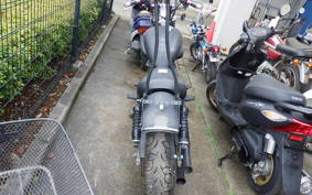 YAMAHA VIRAGO 250 3DM