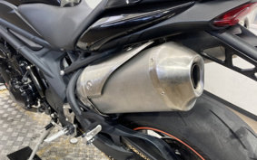 TRIUMPH SPEED TRIPLE 2012 TPN105