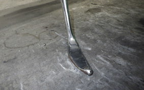 KAWASAKI ELIMINATOR 125 2022 BN125A