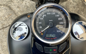 HARLEY FLS 2014 JR5