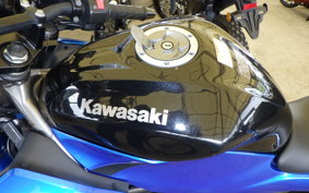 KAWASAKI Z250 SL BR250E
