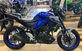 YAMAHA MT-25 RG10