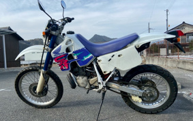 HONDA CRM250R MD24