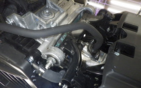 HONDA ﾀﾞﾝｸ 2008 AF78