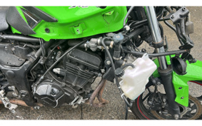 KAWASAKI NINJA 250 EX250L