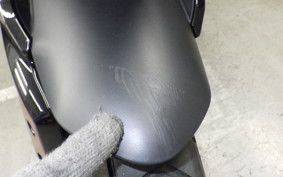 TRIUMPH TIGER 900 GT PRO 2024