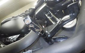 HARLEY XL883N 2019