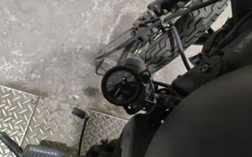 YAMAHA VIRAGO 250 3DM