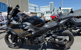 KAWASAKI Ninja 250 ABS EX250P