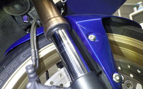 TRIUMPH DAYTONA 675 2010