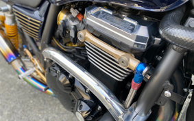 KAWASAKI ZRX1200 DAEG 2019 ZRT20D