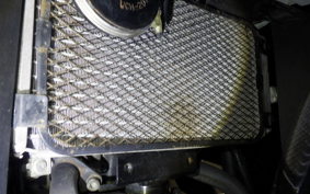 SUZUKI GSX250RA 2019