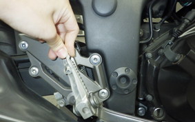 KAWASAKI NINJA 250 ABS 2020 EX250L