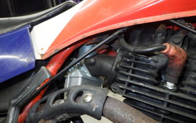HONDA TLR200 MD09