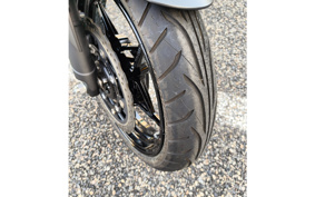 KAWASAKI Z250 EX250Y