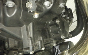 KAWASAKI Z900RS 2023 ZR900K