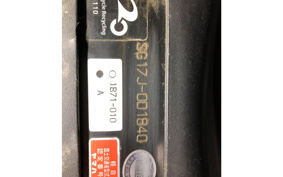 YAMAHA MAXAM 250 SG17J