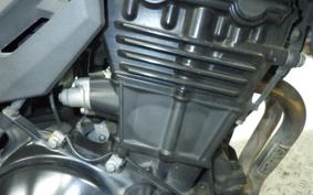KAWASAKI VERSYS-X 250 A 2021 LE250D