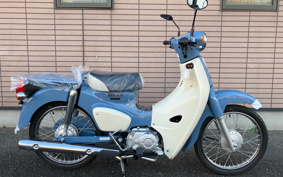 HONDA  SUPER CUB 50 FINAL  EDITION  AA09