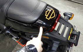 HARLEY XG750 STREET ROD 2019