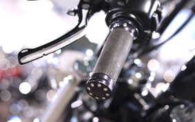 HARLEY FXST 2010 BV5