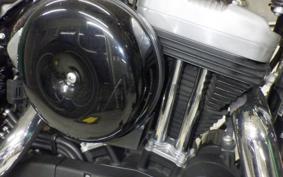 HARLEY XL1200X 2016