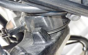 KAWASAKI W800 2020 EJ800B