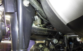 OTHER +UNREGISTERED MODEL by BDS250