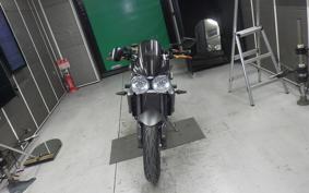 TRIUMPH STREET TRIPLE R 2010