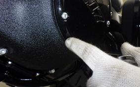 HARLEY FXLRST1920 2024